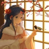 一条五月