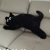 甄实的榛子