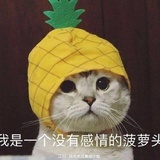 已注销