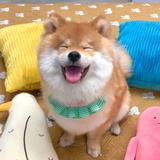 又吃多了
