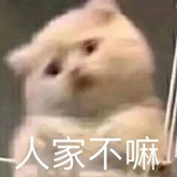 林中有雾