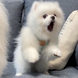 稻盛和夫