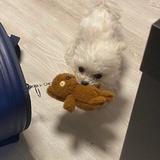 你在说啥啊