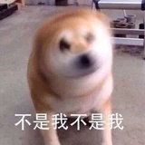 空尼几瓦