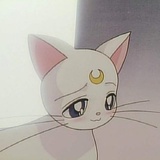 吖尼。