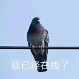 理想假日