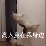 转生成为江湖骗子