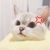 Byuon