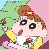 野原向日葵