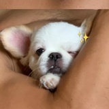 趣多多好吃