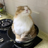 呵
