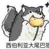 豆友185845406