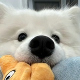 琪琪勇敢飞