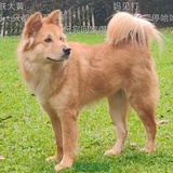 落簊