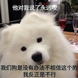 芝士葡萄