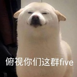 眯眼睛👀