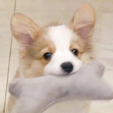 不会被认的昵称