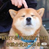 Wndysidjhdjsi
