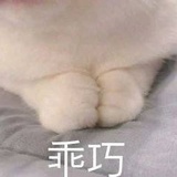 包包