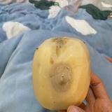 豆友186061553