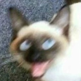 判官（已黑化）