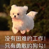 是木鱼呀