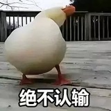 小黄鸭