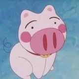 小花花