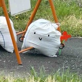 悲伤荷包蛋