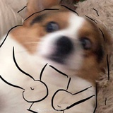 你别过来啊