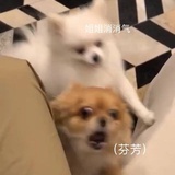 已完成