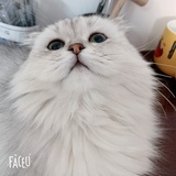 公子小M