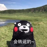 河豚女士