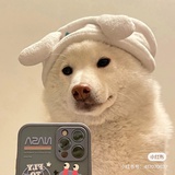奈斯