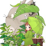 虾米
