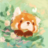 寒舟