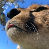 我经常忧心忡忡