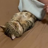 baby不要再哭泣