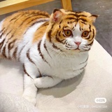 小熊