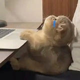 做你的玛卡巴卡
