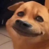吃饭睡觉。