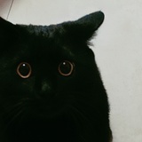 mоmо