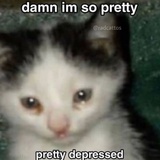smellycat