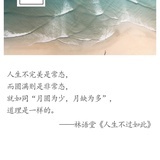 向日葵🌻