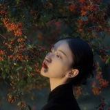 橘子小羊