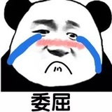 歪果仁hopp