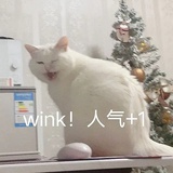 世上最缺德
