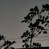 啦啦啦