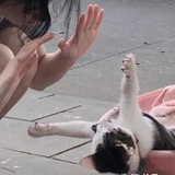桃白白