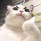 吃饭不用筷子